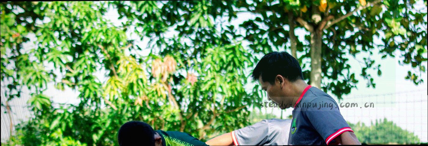 深色面板上排列的编号刻线与细边框局部，带金属冷光的条款索引构图
